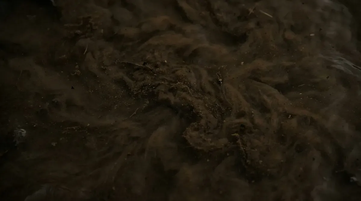 2. 흐린 물과 흙탕물이 보내는 경고